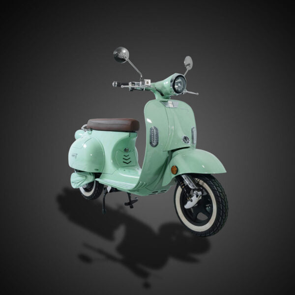 Evess Elmoped