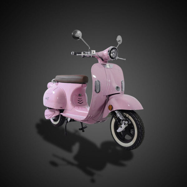 Evess Elmoped
