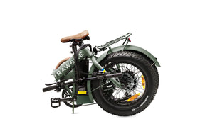 Rawbike 250E
