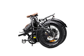 Rawbike 4X