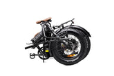 Rawbike 250E