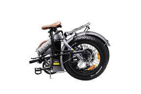 Rawbike 250E