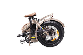 Rawbike 250E