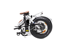 Rawbike 250E