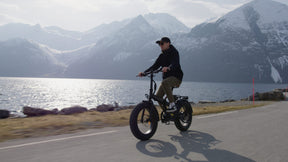 Rawbike 250E