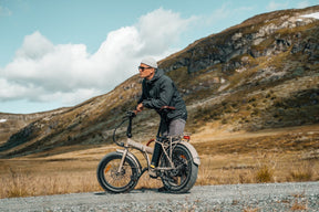 Rawbike 250E